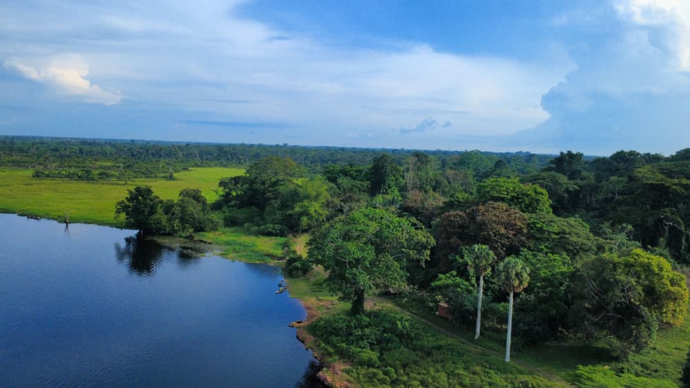 Communauté autochtone dans la forêt de la RDC